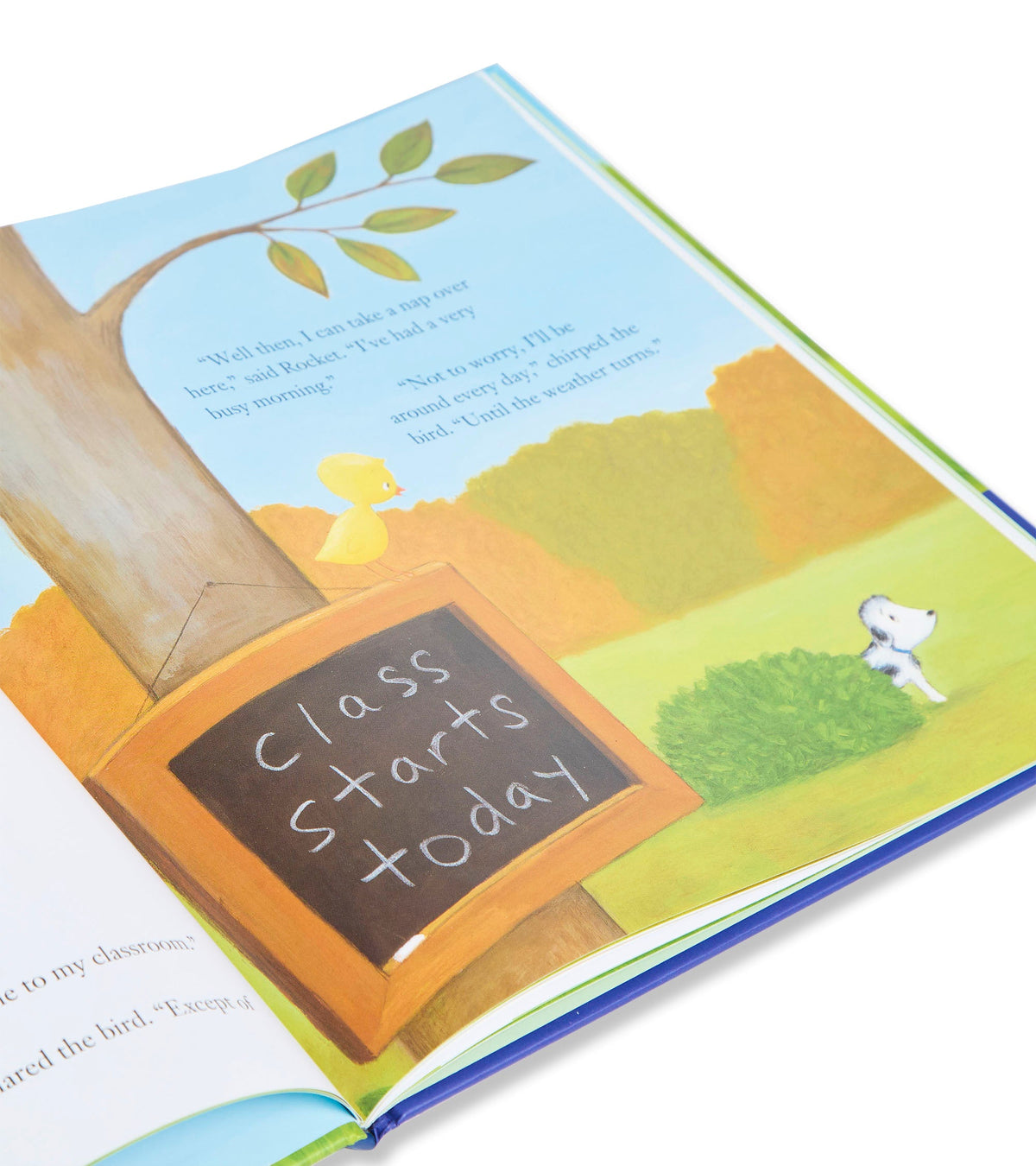 How Rocket Learned To Read - Flat Pack PJ Set With Book