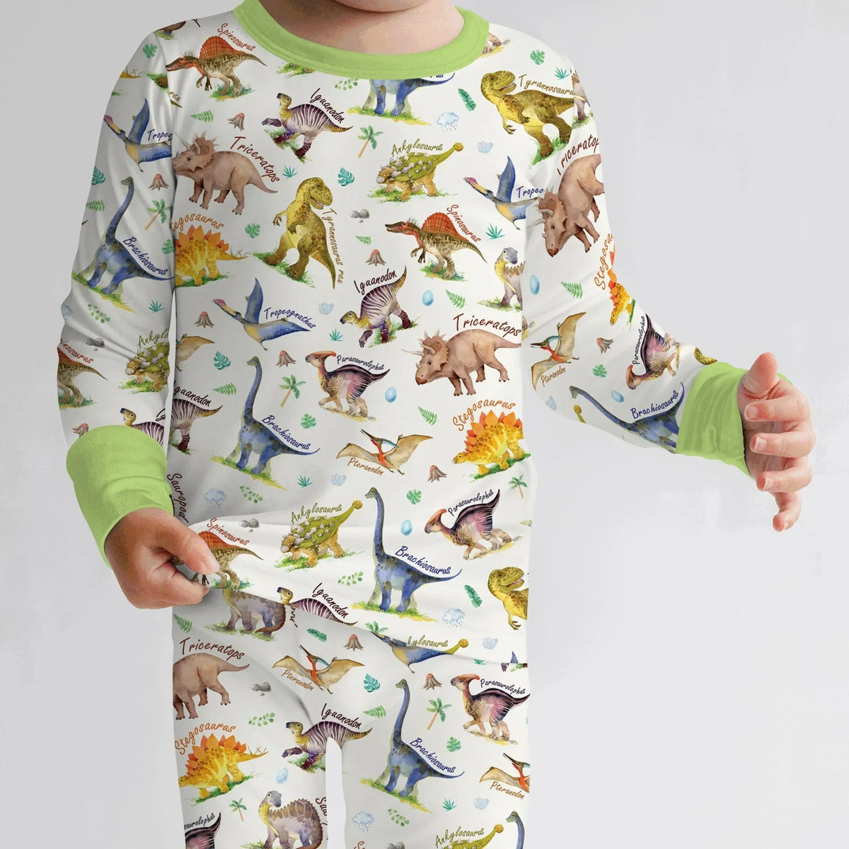 Dino Dreamland Bamboo Two Piece Long Sleeve Pajama Set