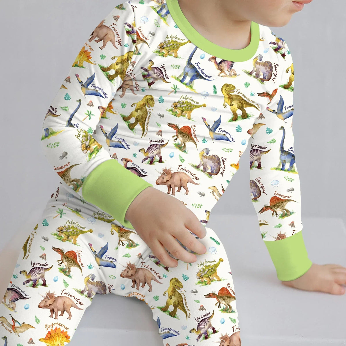 Dino Dreamland Bamboo Two Piece Long Sleeve Pajama Set