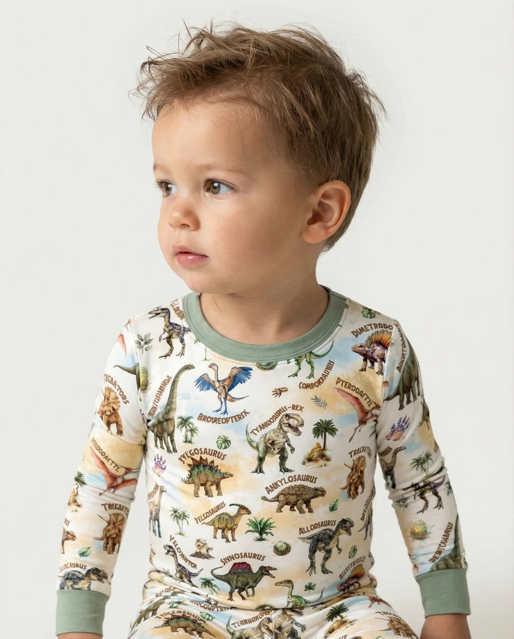 Dino Discovery Bamboo Two Piece Long Sleeve Pajama Set